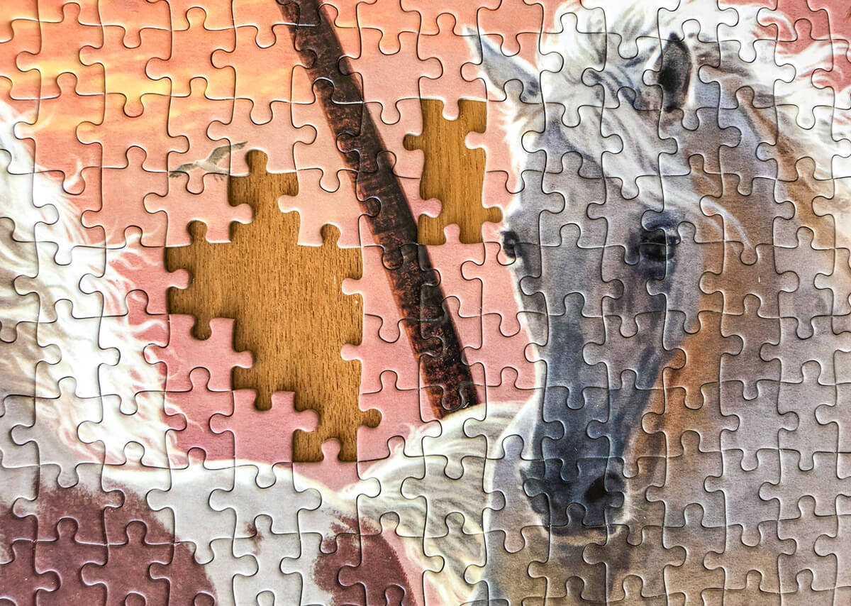 Trefl 1000 Piece Jigsaw Puzzle, Galloping Horses 