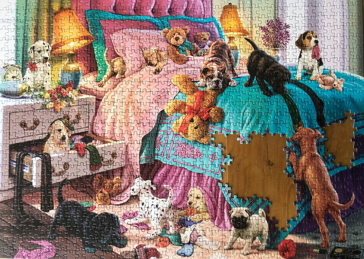 Corgi Jigsaw Puzzle 1000 Pieces [Limited Edition]