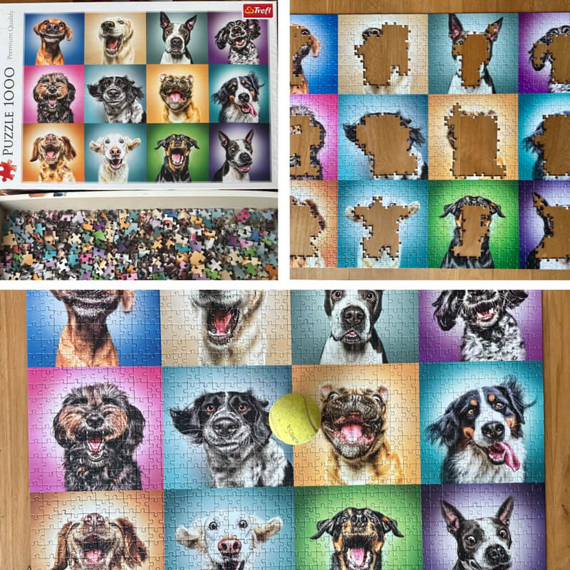 A collage of three images showing puzzle progress on a dog puzzle