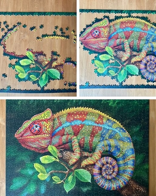 A collage of three images showing how a jigsaw puzzle featuring a chameleon was solved